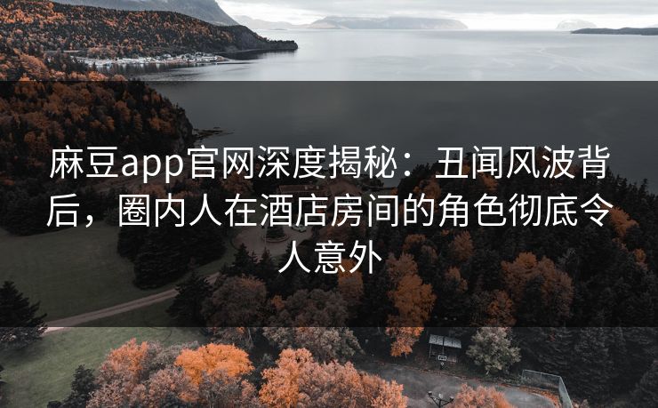 麻豆app官网深度揭秘：丑闻风波背后，圈内人在酒店房间的角色彻底令人意外